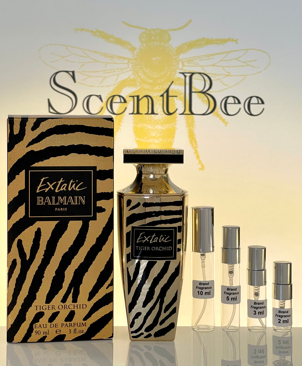 Womens Perfume $10 Perfume Perfume Under $10 Miss Delicate For