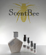 Load image into Gallery viewer, Tauer Nexin Extrait de Parfum Sample
