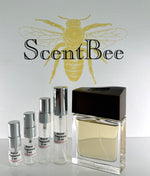 Load image into Gallery viewer, Brioni Man Eau de Parfum Sample
