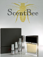 Load image into Gallery viewer, Brioni Man Eau de Parfum Sample
