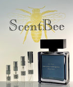 Load image into Gallery viewer, narciso-rodriguez-for-him-bleu-noir-perfum(2022)-sample-decant-scentbeeusa
