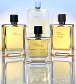 Load image into Gallery viewer, Terre D&#39;Hermes Parfum
